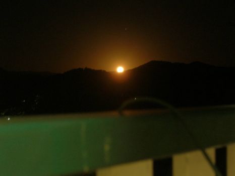 Moonlight 004