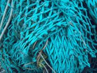 Maasholm - at the fisher port
