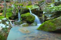 Ozark National Forest
