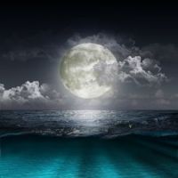 Moon Waters
