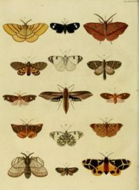 CramerAndStoll-uitlandsche_kapellen_vol._4-_pl_397