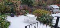 Snow in my garden????? Dec 22