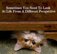 Looking at things differently.....
