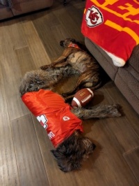 Chiefs fans