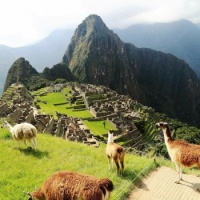 Machu Picchu Trek