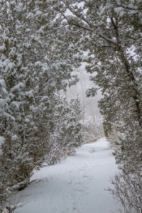 A Winter Walk in Colorado Springs