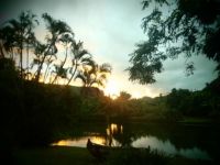 Smith Family Luau