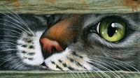 Peeking irina-gasmashova-1920x1080