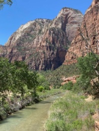 Zion 1