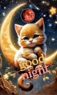 Good night and sweet dreams