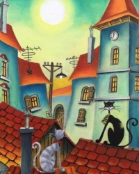 black cat on the roof
