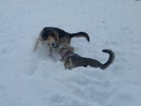 20150220_115201