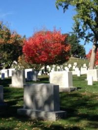 Arlington National Cemetary, Oct 2014