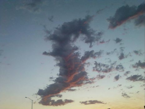 15 sky dragon N Platte
