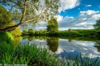 River Clyde at Dalserf