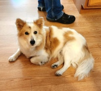 Mabel in the kitchen
