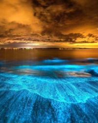 Bioluminescence captured on a beach in Australia