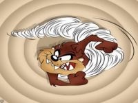 tazmania