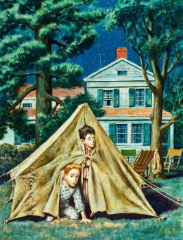 Solve Backyard Campers Jigsaw Puzzle Online With Pieces