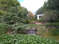 Hunter Valley Gardens N.S.W.