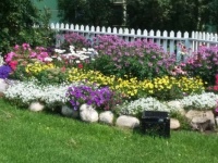 Nice flower border
