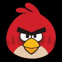 angry-bird-picture-7