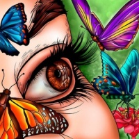 I spy butterflies 🦋🦋🦋