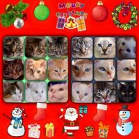 Merry Christmas to all the kitty cat lovers...like me!!
