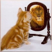 Be Confident