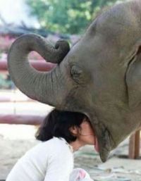 girls-kissing-strange-things-elephant