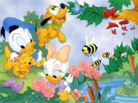 donald duck baby