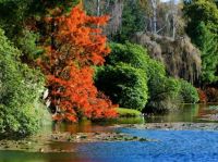 River in Autumn: a classic Autumn scene