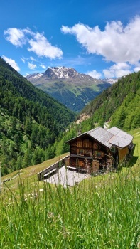 The little hut
