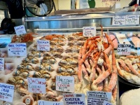 Fish Market