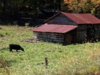 old barn, Georgia autumn