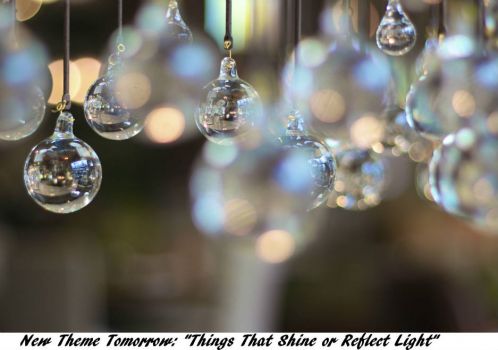 New Theme Tomorrow:  "THINGS THAT SHINE OR REFLECT  LIGHT"