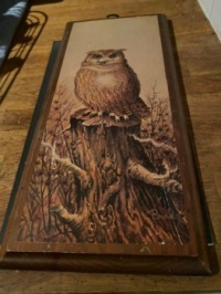 Owl