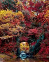 fall