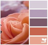 rose hues