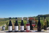 Wine