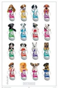 Puppys in Shoes