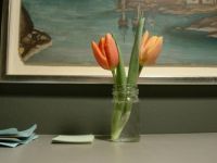 2 tulipaner