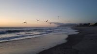 Coast in Oregon