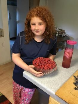 Jayden's Raspberries