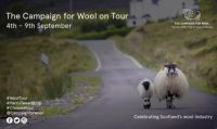 campaign for wool