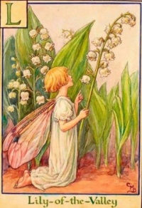 The Lily-of-the-Valley Fairy