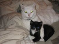 Chouy at 17 with Max Kitten