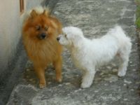 RICO & FIBIE