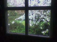 springtime