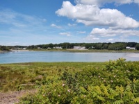 Timber point, Maine
